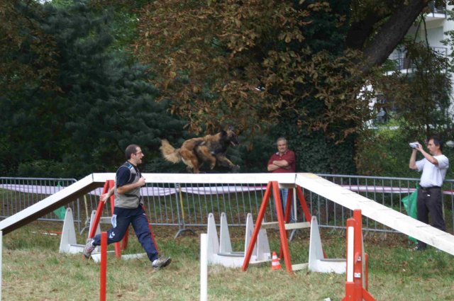 foire-haricots 2011-09-17et18